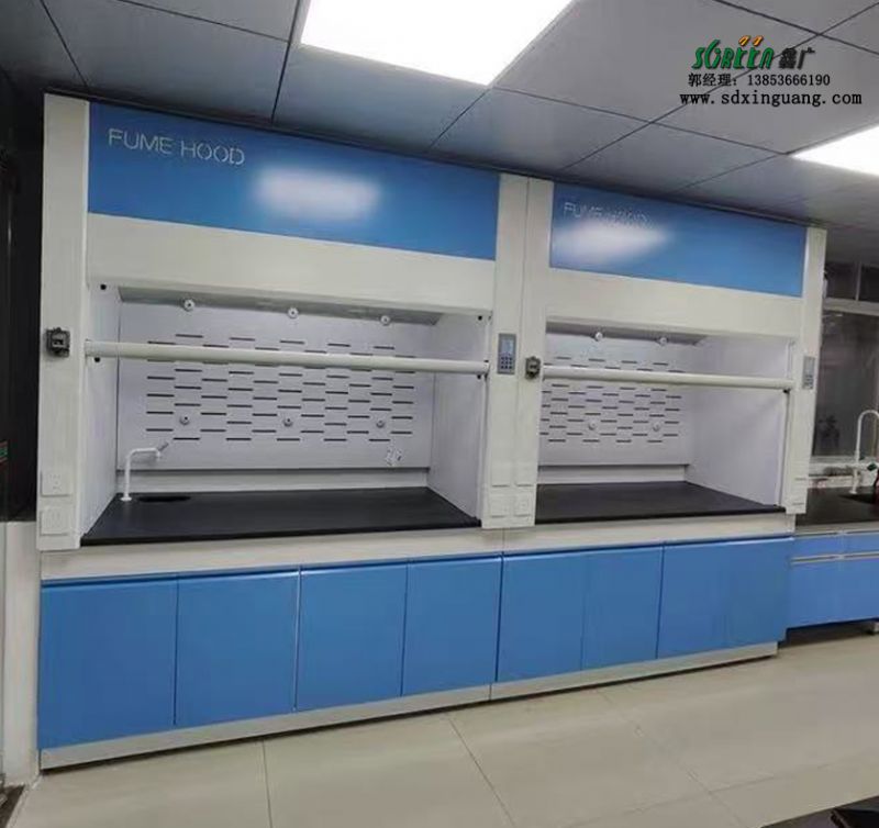山東全鋼通風(fēng)櫥實(shí)驗(yàn)室全鋼通風(fēng)柜PP排風(fēng)柜