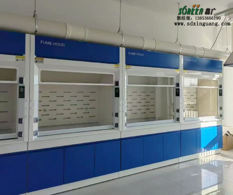濰坊全鋼通風(fēng)櫥落地式實(shí)驗(yàn)室通風(fēng)柜廠家供應(yīng)
