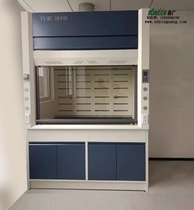 山東實(shí)驗(yàn)室家具實(shí)驗(yàn)臺邊臺通風(fēng)柜廠家供應(yīng)