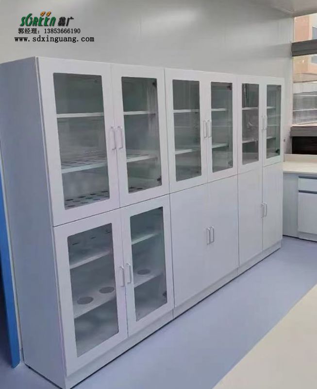 山東全鋼試劑柜實(shí)驗(yàn)室器皿柜試劑柜定做