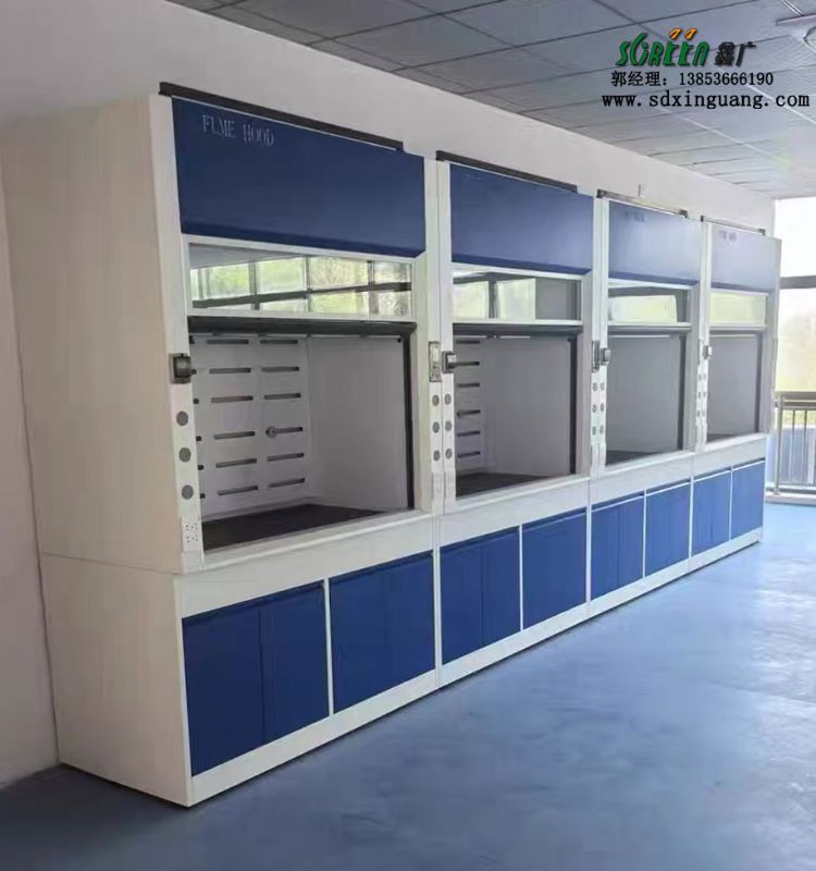 山東實(shí)驗(yàn)室設(shè)備全鋼通風(fēng)櫥耐酸堿落地通風(fēng)柜