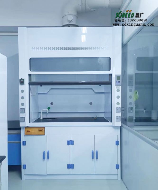山東實(shí)驗(yàn)室家具pp通風(fēng)柜化驗(yàn)室排風(fēng)柜耐酸堿