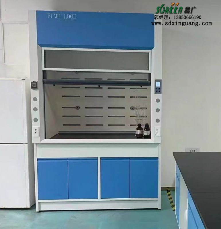 山東實(shí)驗(yàn)臺廠家實(shí)驗(yàn)室全鋼通風(fēng)柜桌上型排風(fēng)櫥