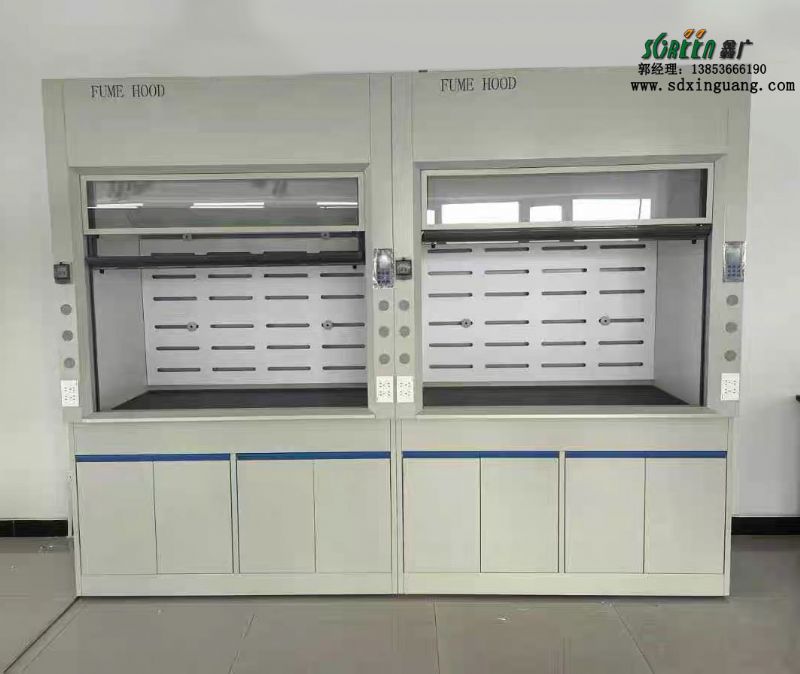 山東實(shí)驗(yàn)室家具通風(fēng)柜廠家全鋼pp通風(fēng)櫥供應(yīng)