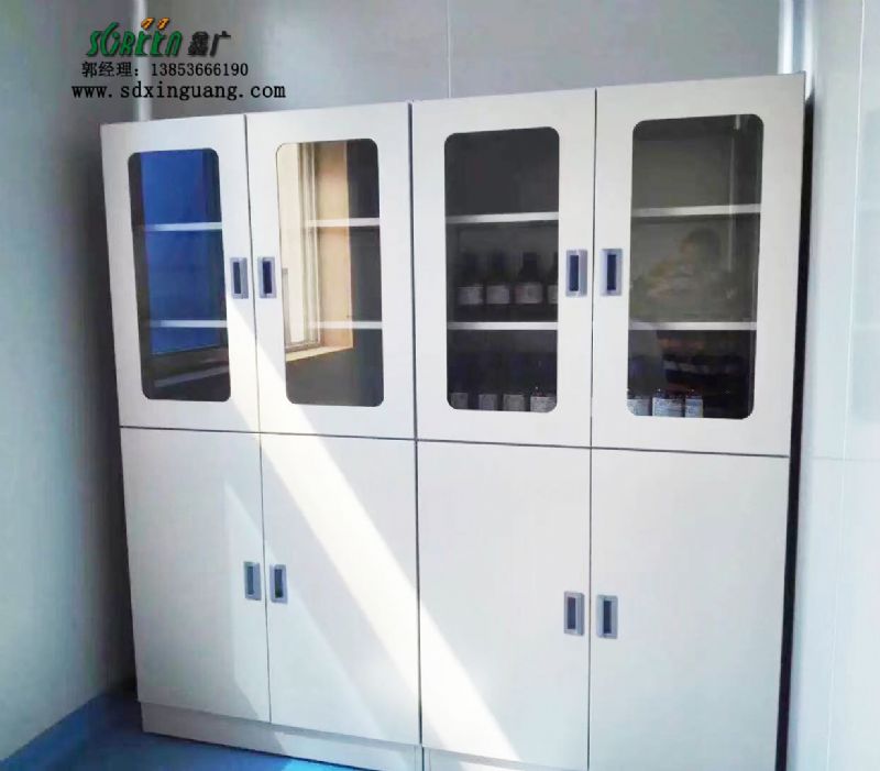 山東實(shí)驗(yàn)臺(tái)全鋼器皿柜實(shí)驗(yàn)室pp儀器柜試劑柜
