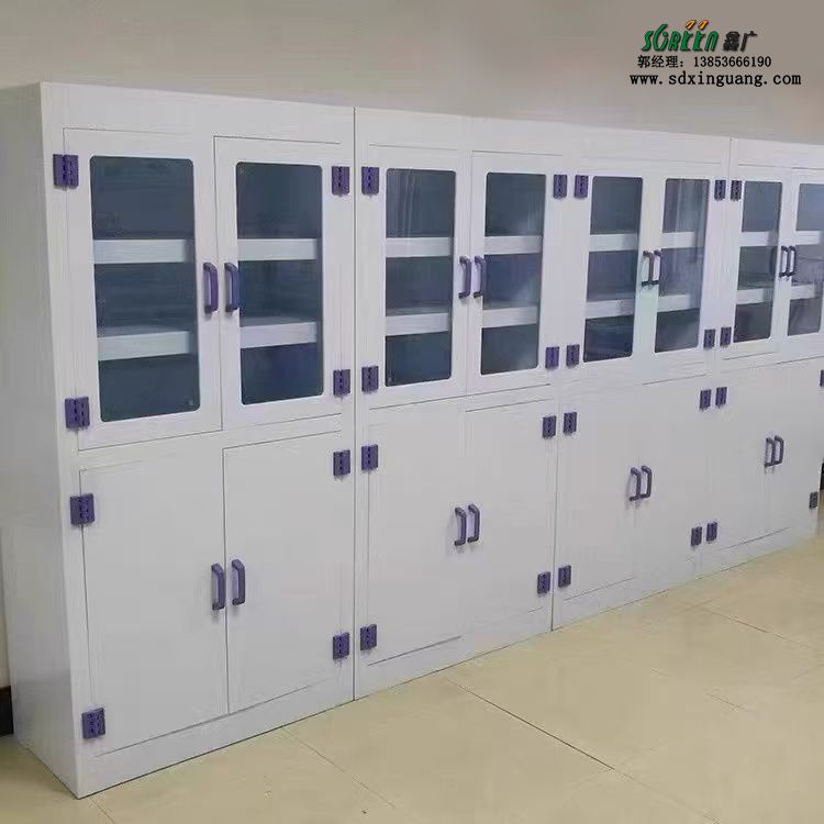 山東實(shí)驗(yàn)室器皿柜試劑強(qiáng)酸堿儲(chǔ)存柜防腐蝕試劑柜