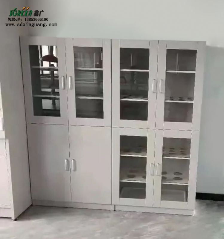 濰坊實(shí)驗(yàn)室建設(shè)器皿柜實(shí)驗(yàn)臺(tái)全鋼試劑柜廠家