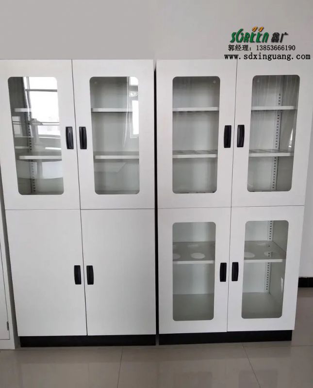 濰坊實(shí)驗(yàn)室家具實(shí)驗(yàn)室器皿柜存儲(chǔ)柜供應(yīng)