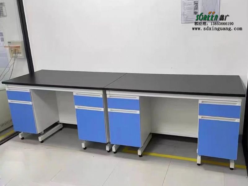 山東實(shí)驗(yàn)臺(tái)試驗(yàn)室工作臺(tái)實(shí)驗(yàn)室水槽臺(tái)鋼木實(shí)驗(yàn)臺(tái)