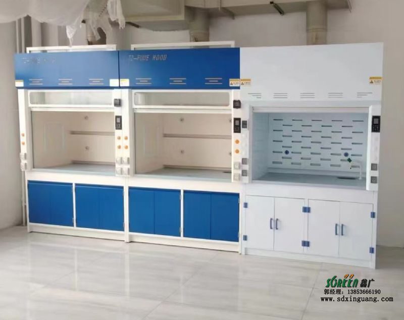 山東實(shí)驗(yàn)室通風(fēng)柜生產(chǎn)通風(fēng)櫥供應(yīng)實(shí)驗(yàn)臺廠家