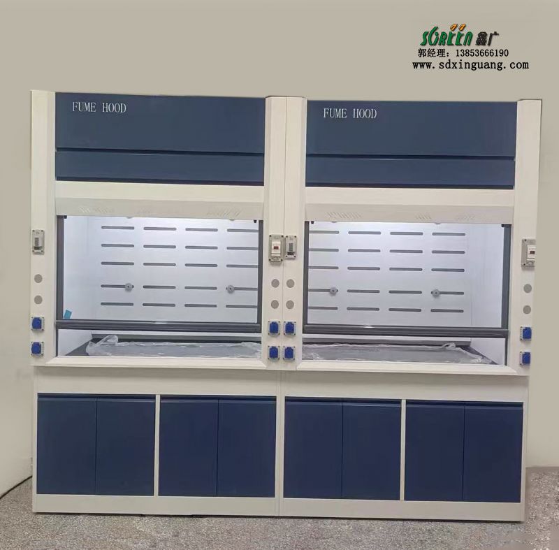 山東實(shí)驗(yàn)室家具全鋼通風(fēng)柜PP通風(fēng)櫥廠家供應(yīng)