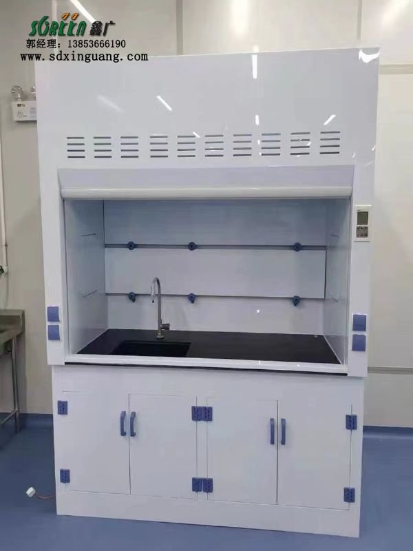 山東實(shí)驗(yàn)室防爆pp通風(fēng)柜通風(fēng)系統(tǒng)排風(fēng)柜