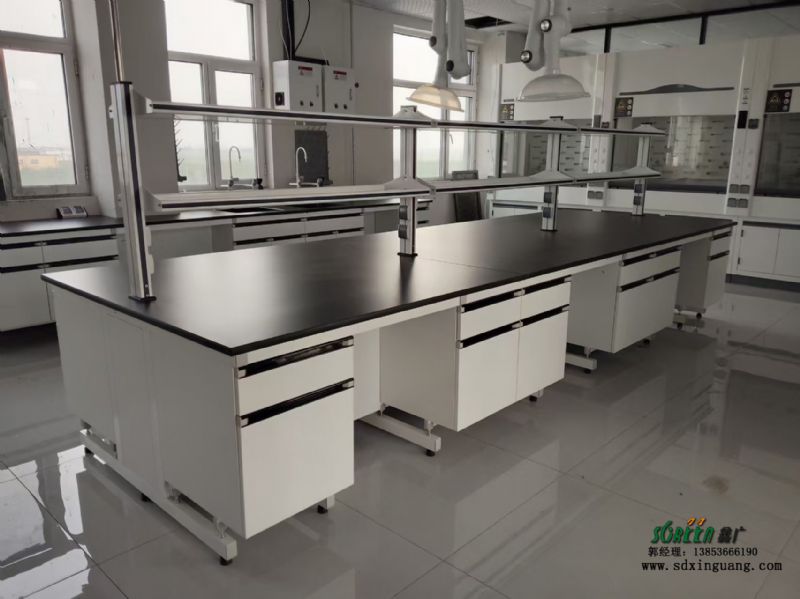 山東實(shí)驗(yàn)室鋼木實(shí)驗(yàn)臺(tái)廠家加工 鋼木試驗(yàn)臺(tái)邊臺(tái)