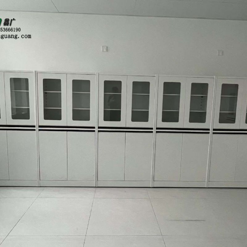 山東實驗室家具定制全鋼器皿柜實驗室試劑柜