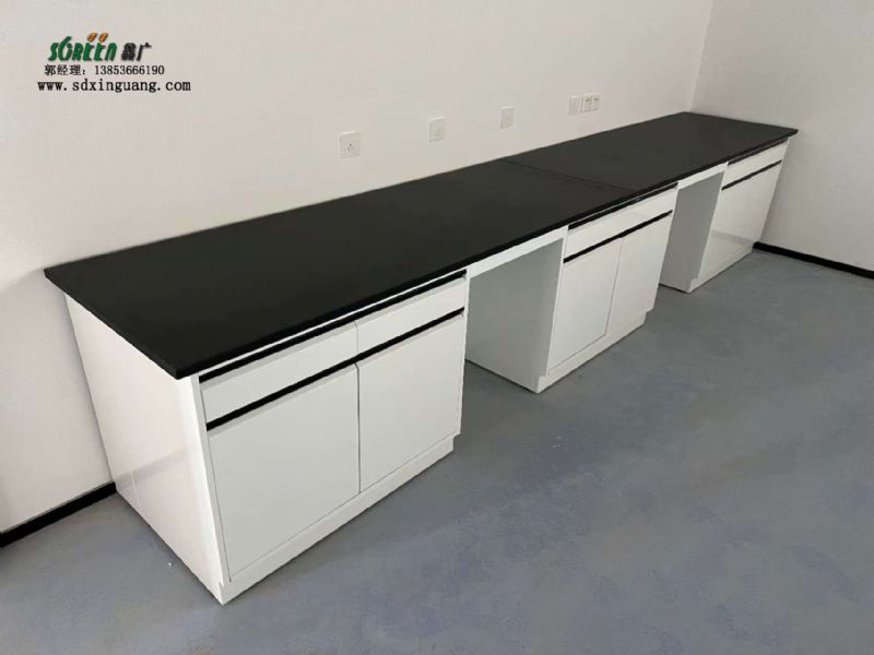 山東實(shí)驗(yàn)臺(tái)廠家 全鋼實(shí)驗(yàn)臺(tái) 實(shí)驗(yàn)室工作臺(tái)供應(yīng)