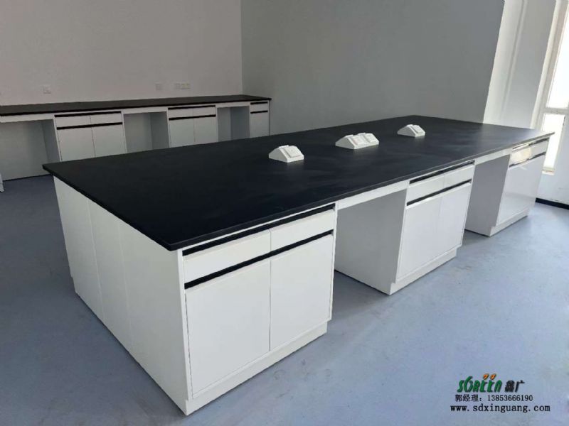 山東實(shí)驗(yàn)臺(tái)廠家全鋼pp鋼木實(shí)驗(yàn)室實(shí)驗(yàn)臺(tái)供應(yīng)