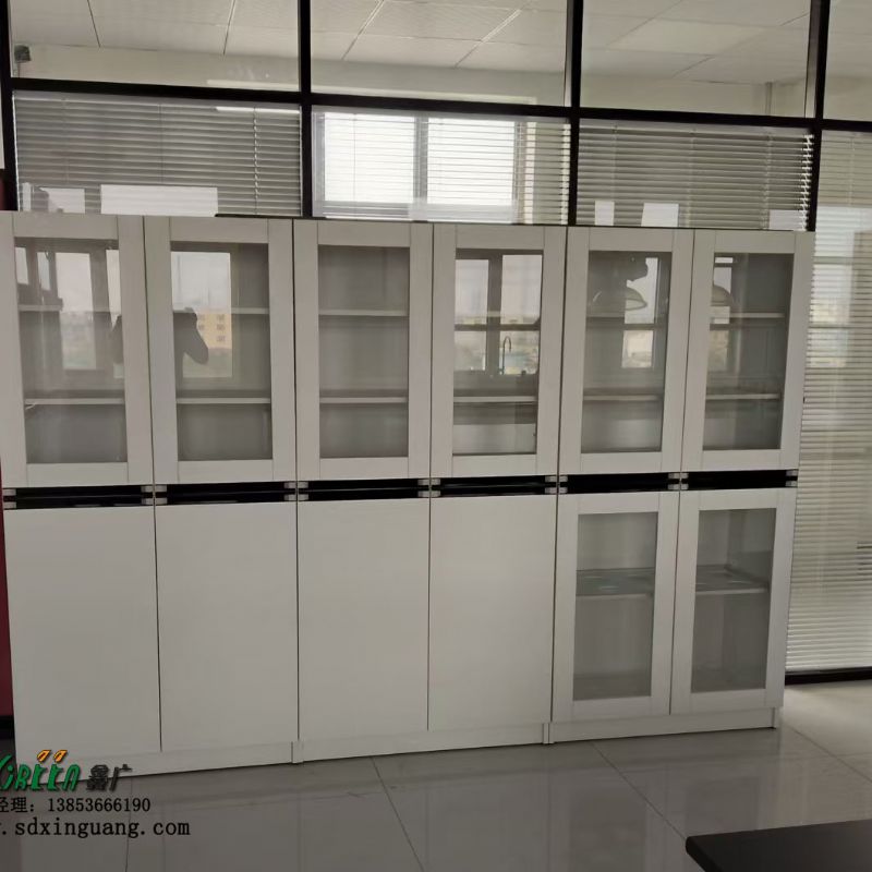 濰坊實驗臺設備實驗室器皿柜試劑柜生產廠家