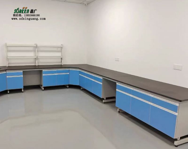 濰坊實(shí)驗(yàn)臺(tái)試驗(yàn)臺(tái)鋼木實(shí)驗(yàn)室工作臺(tái)實(shí)驗(yàn)室廠家