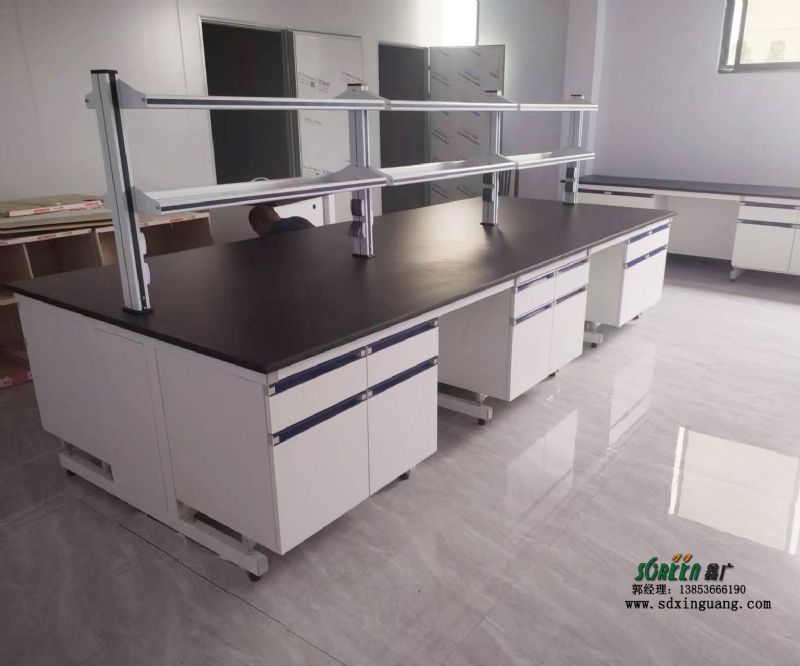 濰坊實(shí)驗(yàn)室家具鋼木實(shí)驗(yàn)臺(tái)實(shí)驗(yàn)室邊臺(tái)