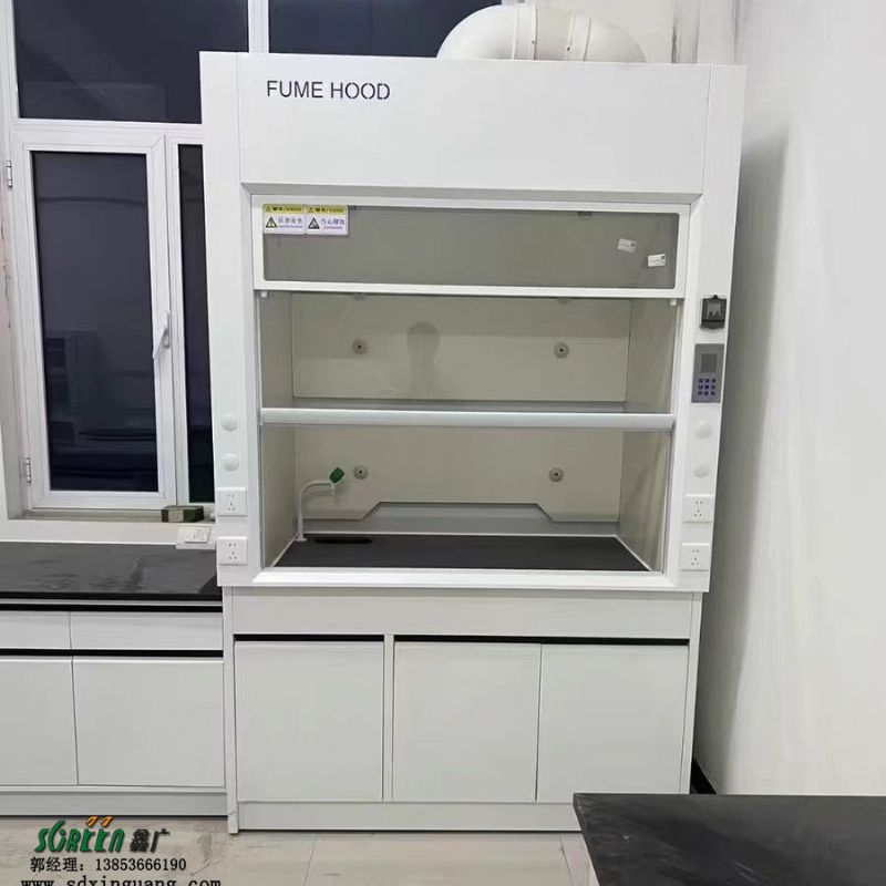 山東通風(fēng)柜廠家 實(shí)驗(yàn)室專業(yè)設(shè)備實(shí)驗(yàn)臺廠家
