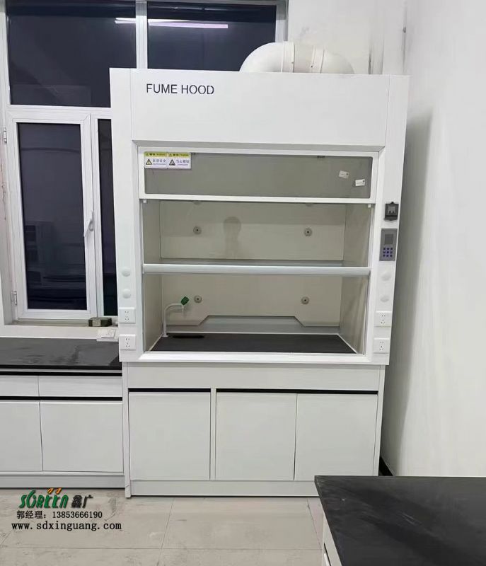 山東通風(fēng)柜廠家 實(shí)驗(yàn)室專業(yè)設(shè)備實(shí)驗(yàn)臺廠家